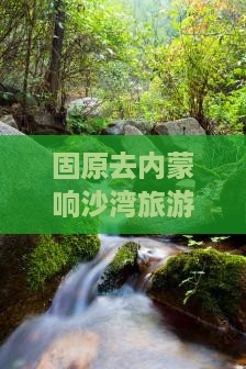 固原去内蒙响沙湾自由团