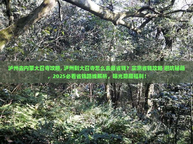 泸州去内蒙大召寺攻略