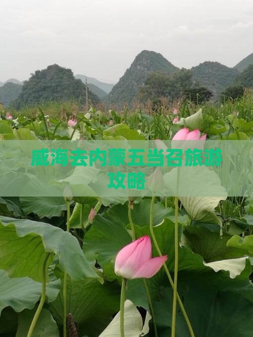 威海去内蒙五当召大型旅游团
