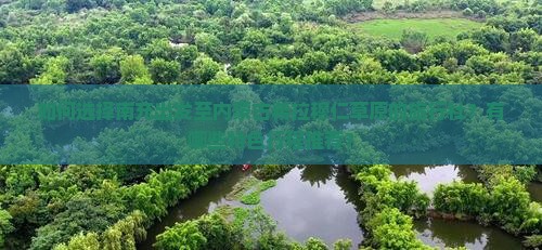 如何选择南充出发至内蒙古希拉穆仁草原的旅行社？有哪些特色行程推荐？