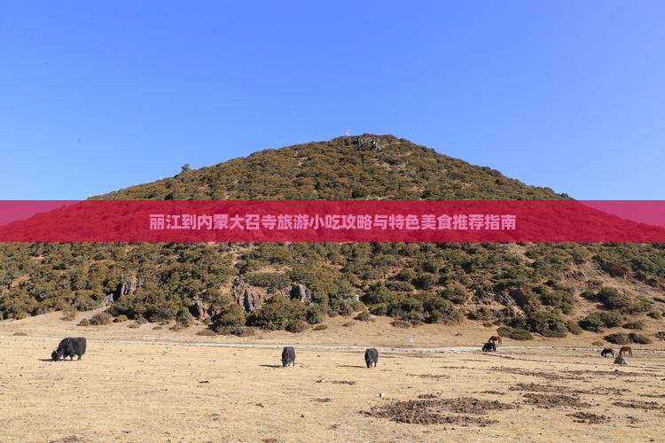 丽江到内蒙大召寺旅游小吃攻略与特色美食推荐指南