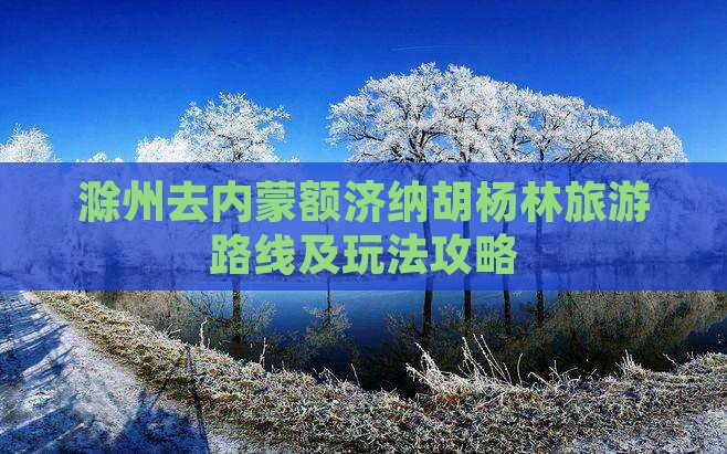 滁州去内蒙额济纳胡杨林旅游路线及玩法攻略
