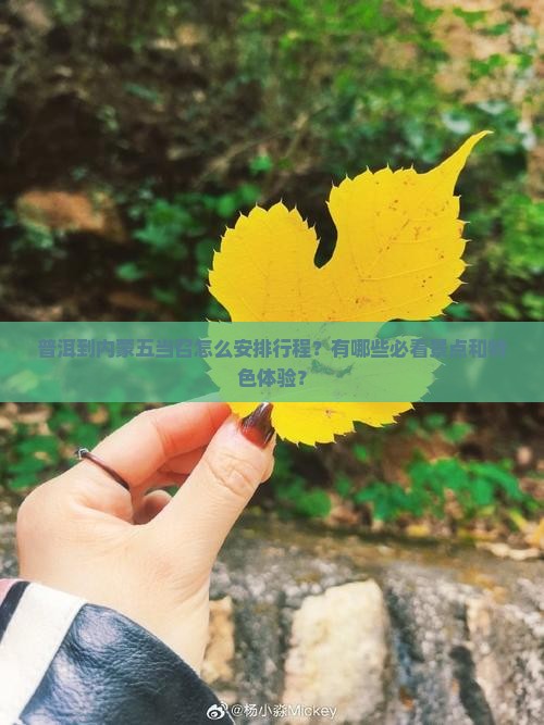 普洱到内蒙五当召怎么安排行程？有哪些必看景点和特色体验？