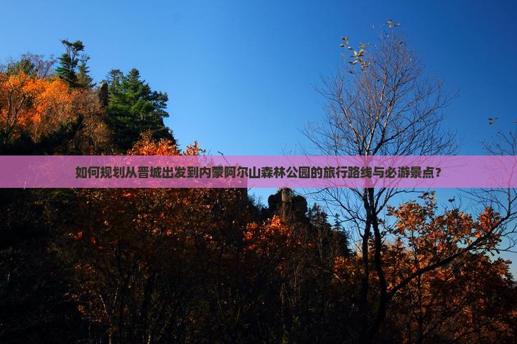 如何规划从晋城出发到内蒙阿尔山森林公园的旅行路线与必游景点？