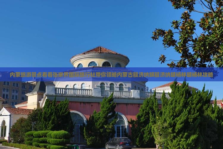 内蒙旅游景点看看张家界国际旅行社带你领略内蒙古额济纳旗额济纳胡杨林胡杨林攻略