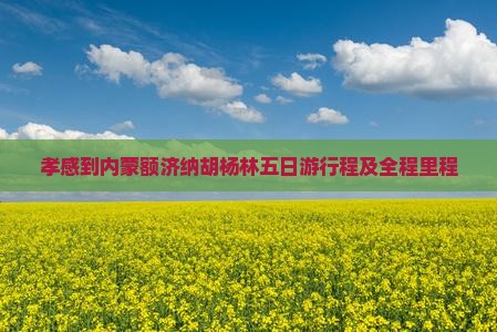 孝感到内蒙额济纳胡杨林五日游行程及全程里程