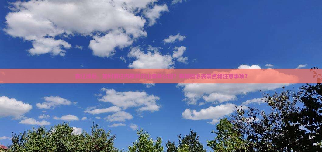 去辽源后，如何前往内蒙阿尔山森林公园？有哪些必去景点和注意事项？
