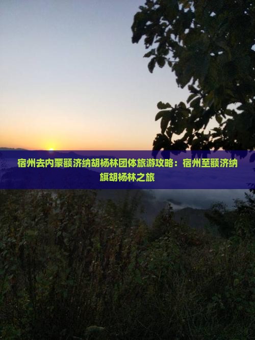 宿州去内蒙额济纳胡杨林团体旅游攻略：宿州至额济纳旗胡杨林之旅