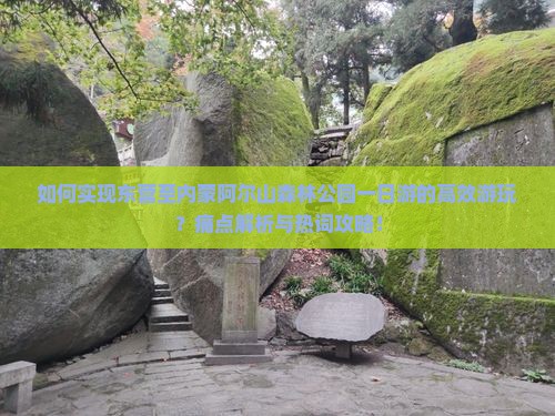 如何实现东营至内蒙阿尔山森林公园一日游的高效游玩？痛点解析与热词攻略！