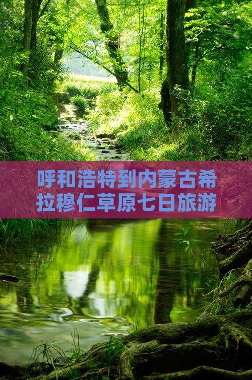 呼和浩特到内蒙古希拉穆仁草原七日旅游攻略