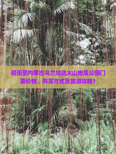和田至内蒙古乌兰哈达火山地质公园门票价格、购买方式及旅游攻略？