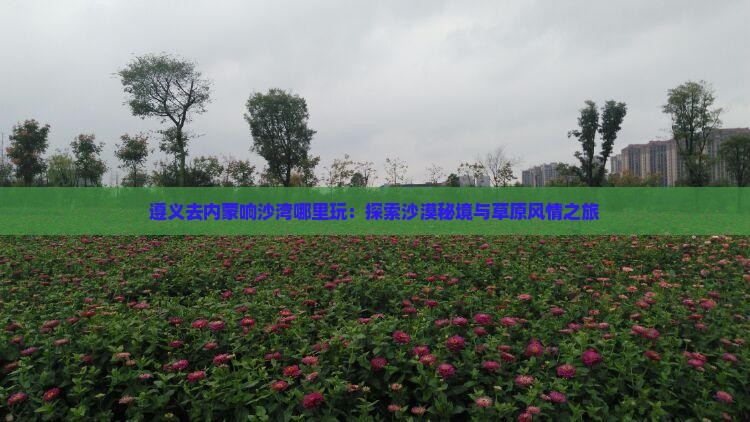 遵义去内蒙响沙湾哪里玩：探索沙漠秘境与草原风情之旅