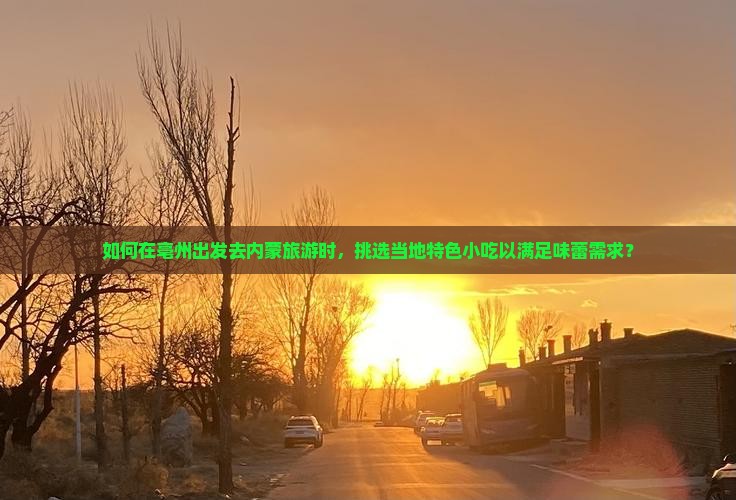 如何在亳州出发去内蒙旅游时，挑选当地特色小吃以满足味蕾需求？