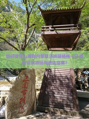 如何实现山南到内蒙额济纳胡杨林一日游的高效游玩与避坑指南？