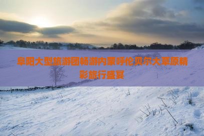 阜阳大型旅游团畅游内蒙呼伦贝尔大草原精彩旅行盛宴