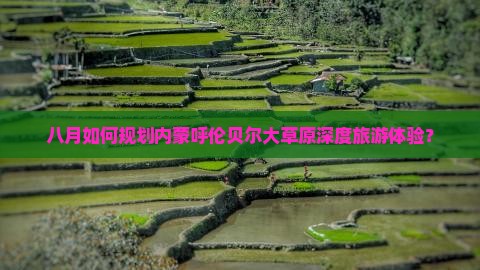 八月如何规划内蒙呼伦贝尔大草原深度旅游体验？