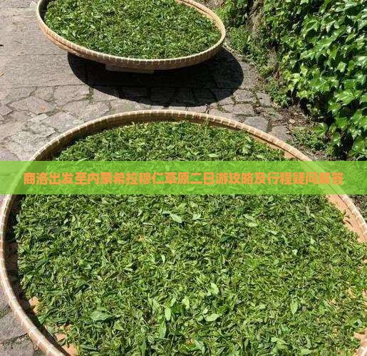 商洛出发至内蒙希拉穆仁草原二日游攻略及行程疑问解答