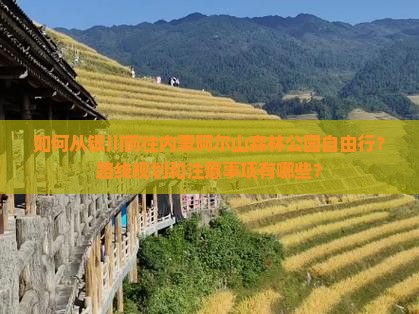 如何从银川前往内蒙阿尔山森林公园自由行？路线规划和注意事项有哪些？