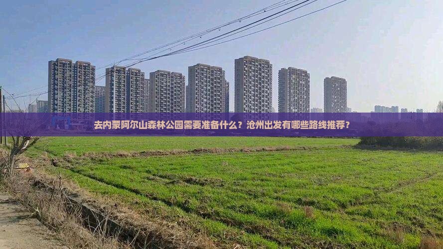 去内蒙阿尔山森林公园需要准备什么？沧州出发有哪些路线推荐？
