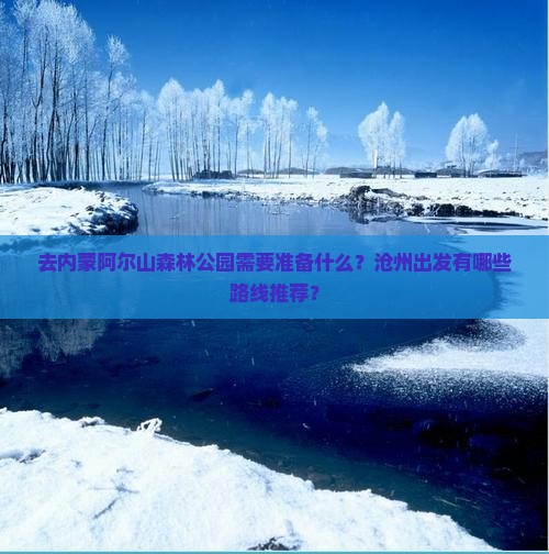 去内蒙阿尔山森林公园需要准备什么？沧州出发有哪些路线推荐？