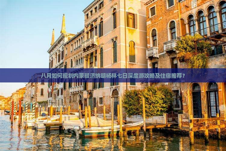 八月如何规划内蒙额济纳胡杨林七日深度游攻略及住宿推荐？
