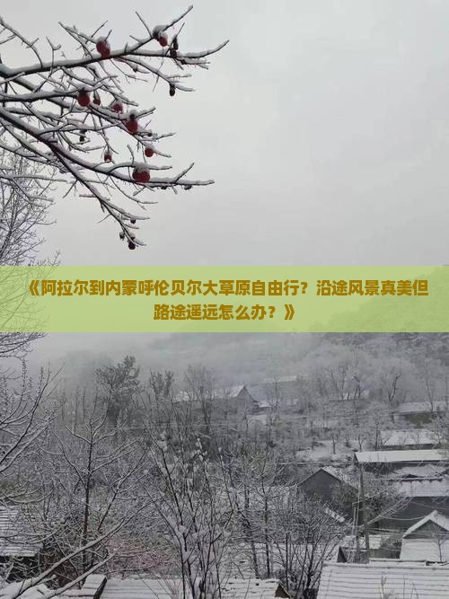 《阿拉尔到内蒙呼伦贝尔大草原自由行？沿途风景真美但路途遥远怎么办？》