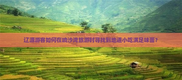 辽源游客如何在响沙湾旅游时寻找到地道小吃满足味蕾？