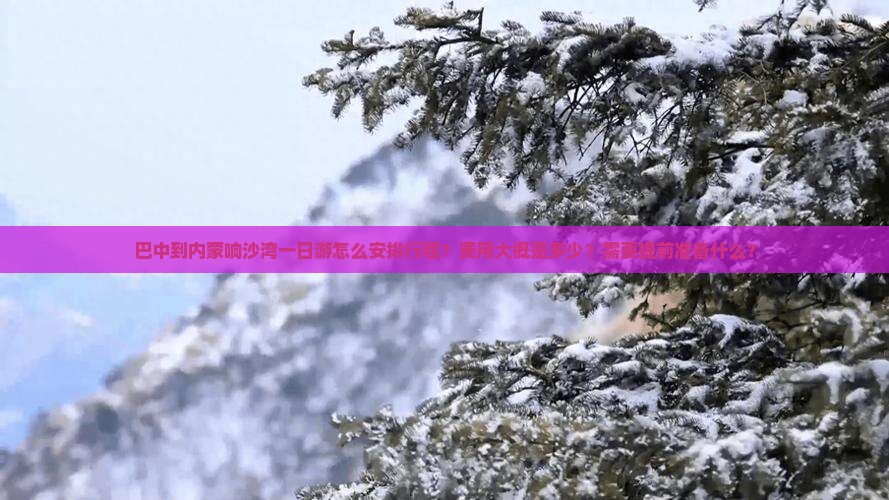 巴中到内蒙响沙湾一日游怎么安排行程？费用大概是多少？需要提前准备什么？