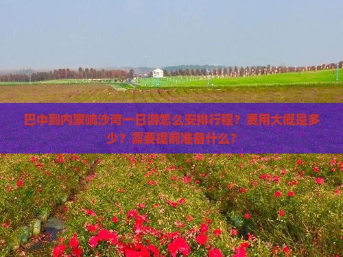 巴中到内蒙响沙湾一日游怎么安排行程？费用大概是多少？需要提前准备什么？