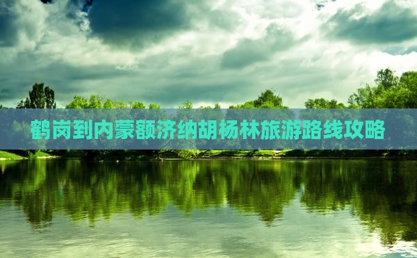 鹤岗到内蒙额济纳胡杨林旅游路线攻略