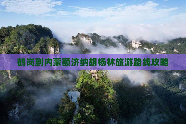 鹤岗到内蒙额济纳胡杨林旅游路线攻略