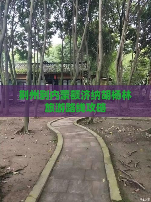 荆州到内蒙额济纳胡杨林旅游路线攻略
