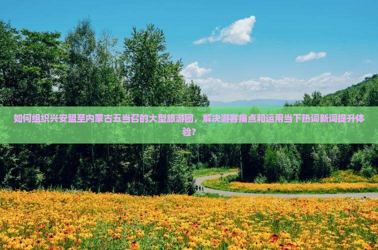 如何组织兴安盟至内蒙古五当召的大型旅游团，解决游客痛点和运用当下热词新词提升体验？