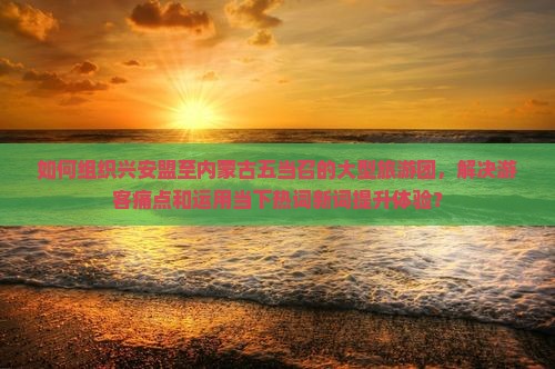 如何组织兴安盟至内蒙古五当召的大型旅游团，解决游客痛点和运用当下热词新词提升体验？