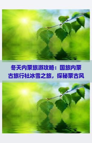 冬天内蒙旅游攻略：国旅内蒙古旅行社冰雪之旅，探秘蒙古风情，云南张家界国际旅行团信息大全