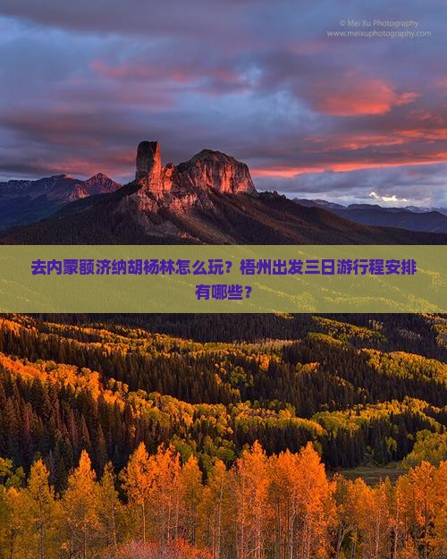 去内蒙额济纳胡杨林怎么玩？梧州出发三日游行程安排有哪些？