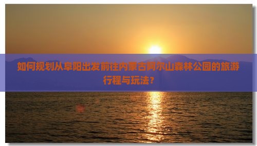 如何规划从阜阳出发前往内蒙古阿尔山森林公园的旅游行程与玩法？