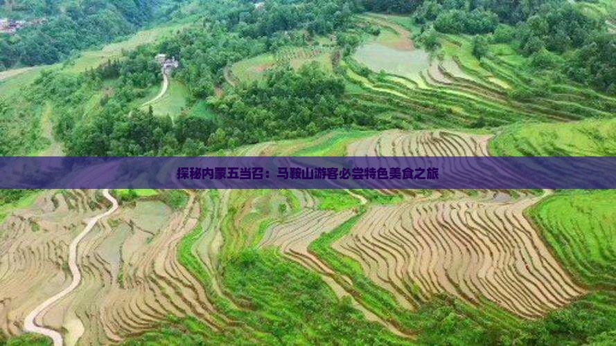 探秘内蒙五当召：马鞍山游客必尝特色美食之旅