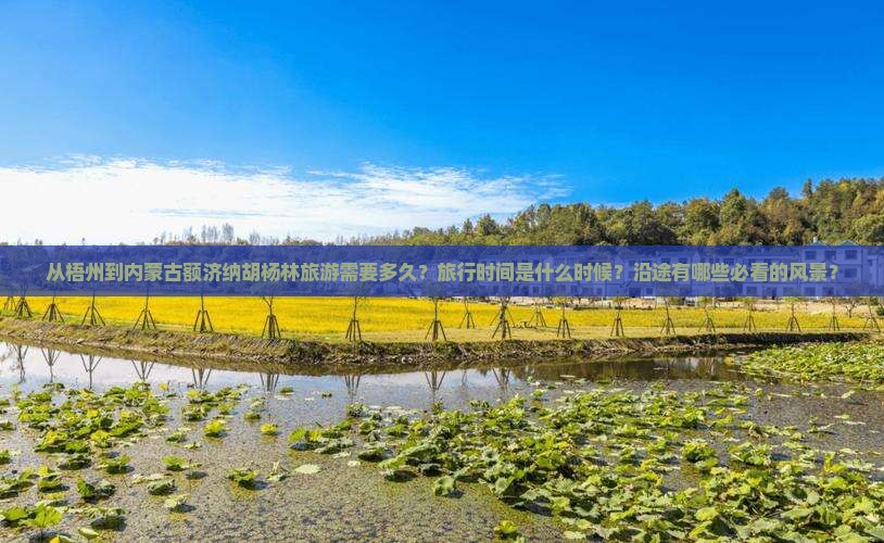 从梧州到内蒙古额济纳胡杨林旅游需要多久？旅行时间是什么时候？沿途有哪些必看的风景？