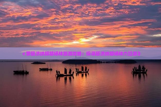 ≮蒙额济纳旗胡杨林旅游攻略：探寻额济纳胡杨林六日游》