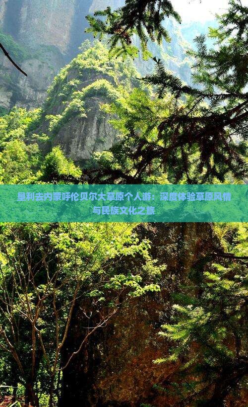 垦利去内蒙呼伦贝尔大草原个人游：深度体验草原风情与民族文化之旅