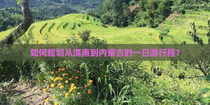 如何规划从渭南到内蒙古的一日游行程？