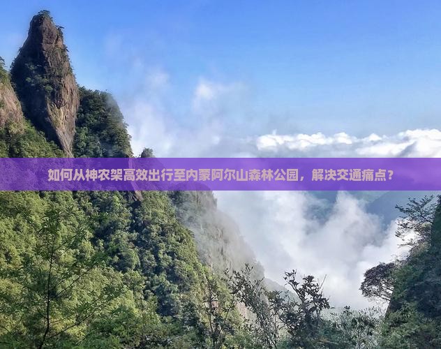 如何从神农架高效出行至内蒙阿尔山森林公园，解决交通痛点？