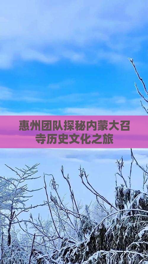 惠州团队探秘内蒙大召寺历史文化之旅
