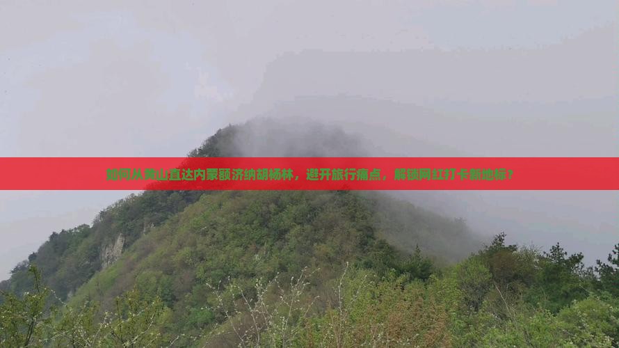 如何从黄山直达内蒙额济纳胡杨林，避开旅行痛点，解锁网红打卡新地标？