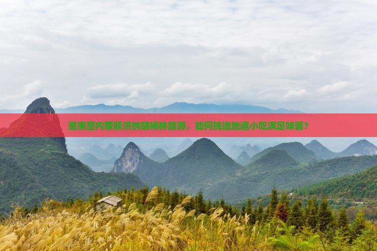 淮南至内蒙额济纳胡杨林旅游，如何挑选地道小吃满足味蕾？