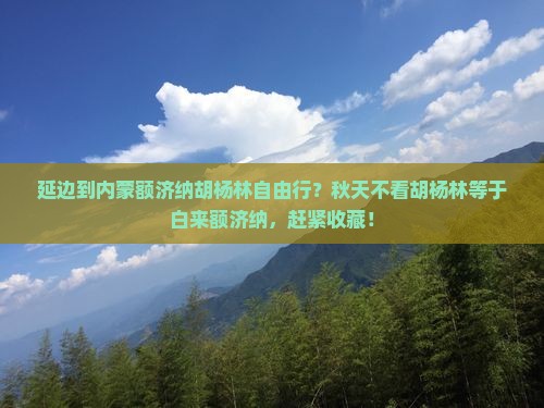 延边到内蒙额济纳胡杨林自由行？秋天不看胡杨林等于白来额济纳，赶紧收藏！