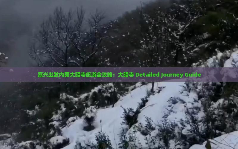 嘉兴出发内蒙大昭寺旅游全攻略：大昭寺 Detailed Journey Guide