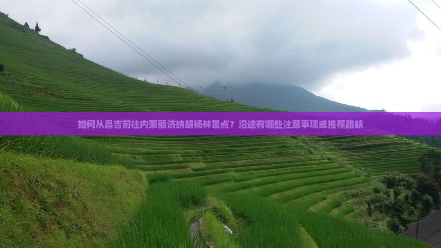 如何从昌吉前往内蒙额济纳胡杨林景点？沿途有哪些注意事项或推荐路峡