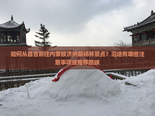 如何从昌吉前往内蒙额济纳胡杨林景点？沿途有哪些注意事项或推荐路峡